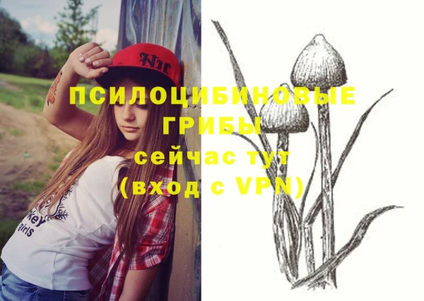а пвп мука Мегион