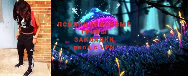 бошки Медногорск